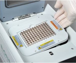 Máy nhân gen PCR AllInOneCycler™-3