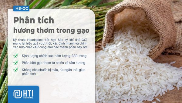 phan-tich-huong-thom-trong-gao