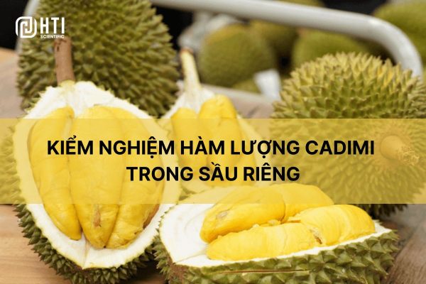 cd-trong-sau-rieng